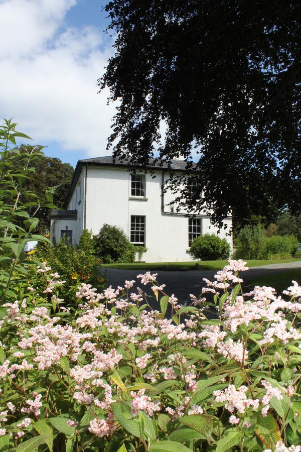 Lough Bawn House Acomodação com café da manhã Collinstown  Exterior foto